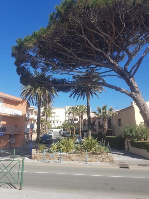 Ideal : Et Centre A 2 Pas +un Garage *