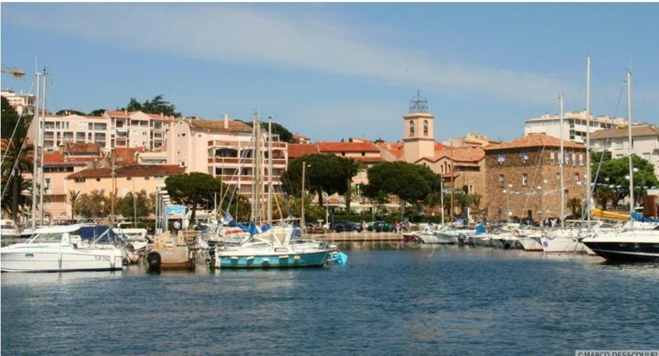 Ideal : Et Centre A 2 Pas +un Garage Apartment *